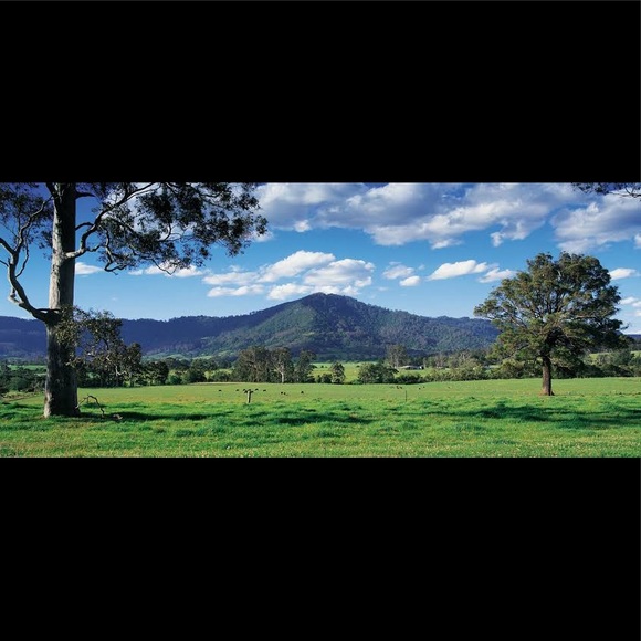 Meet your Posher, Deanne and Ruby πββ¬. - Picture 5 of 16